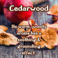 Autumn's Finale | Spiced Apple & Cedarwood 9 oz Scented Candle | Warm & Woodsy | Cozy Fall Aroma
