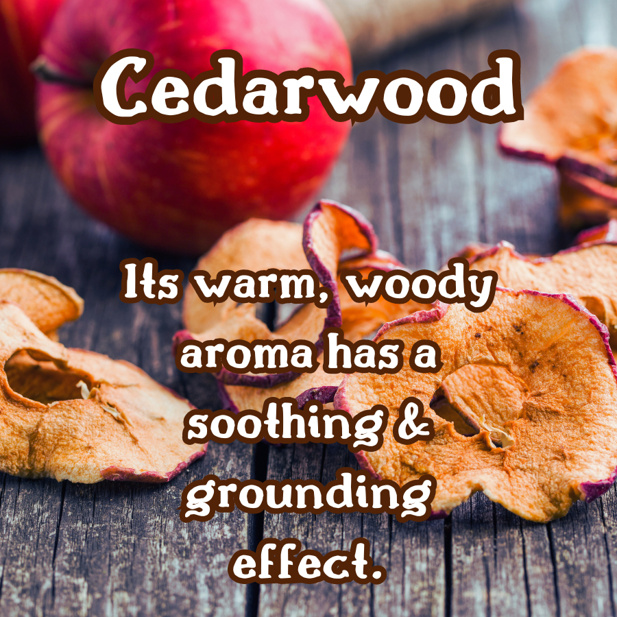Autumn's Finale | Spiced Apple & Cedarwood 9 oz Scented Candle | Warm & Woodsy | Cozy Fall Aroma