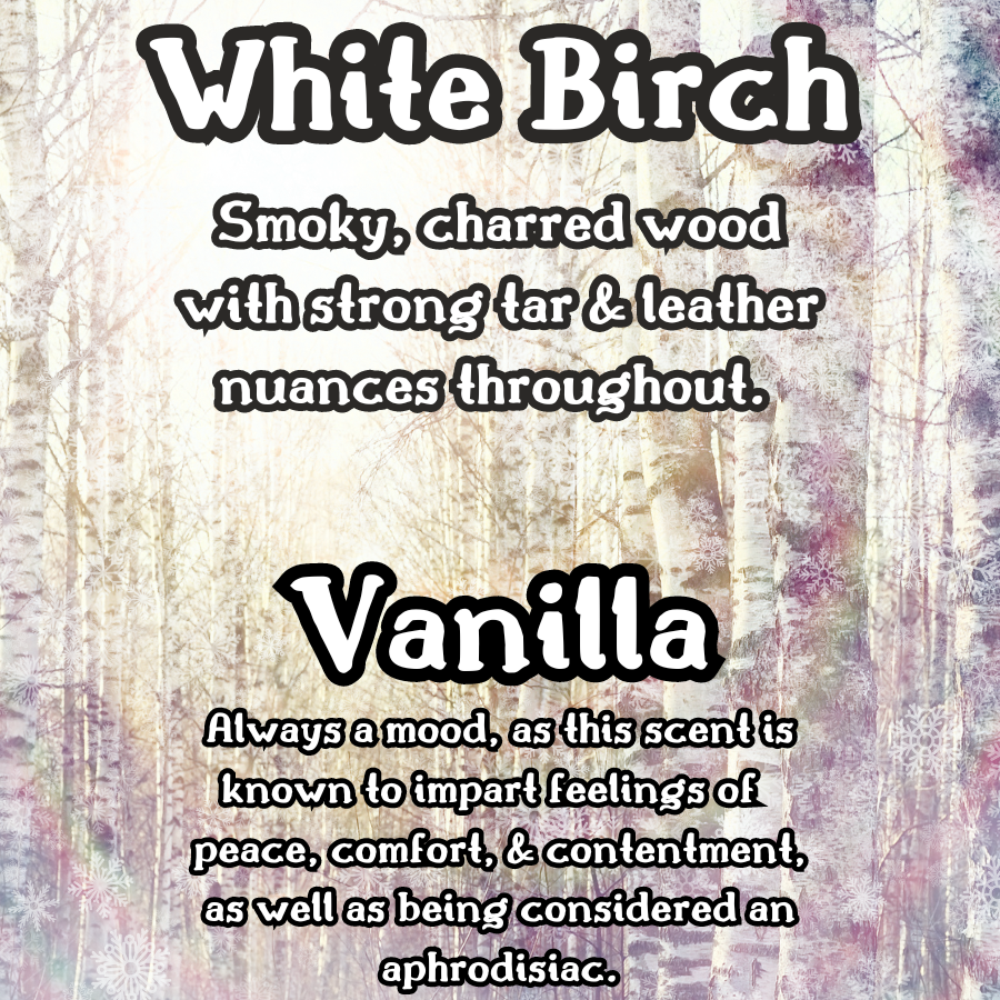 Charred Birchwood & Ice | Birch & Vanilla 9 oz Scented Candle | Earthy Woods & Sweet Vanilla | Cozy Fall Aroma