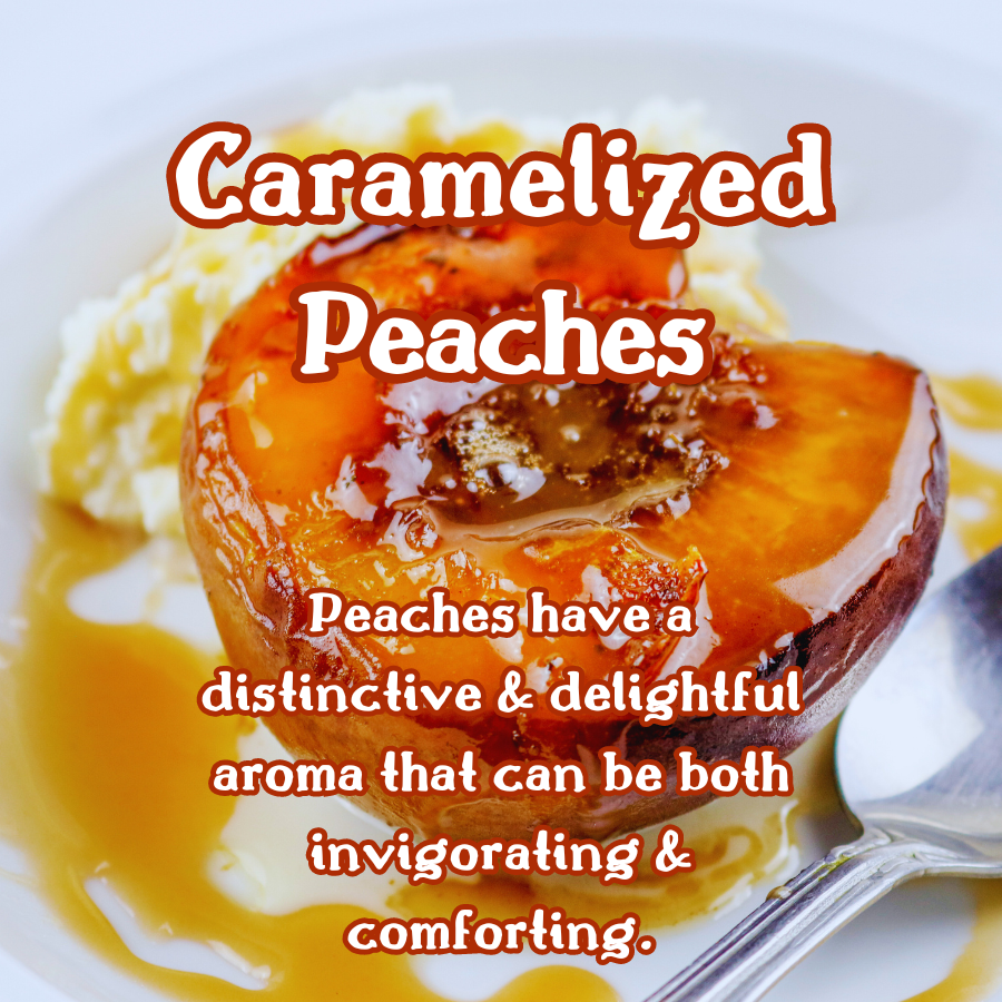 Creamsicle | Orange, Vanilla, & Carmelized Peaches 9 oz Scented Candle | Fruity & Sweet
