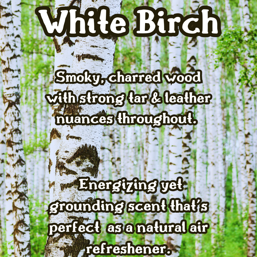 Vanilla Birch Incense Sticks | White Birch, Vanilla, & Sandalwood | Vanilla & Woodsy | Highly Fragrant | Low Smoke | Clean Burn