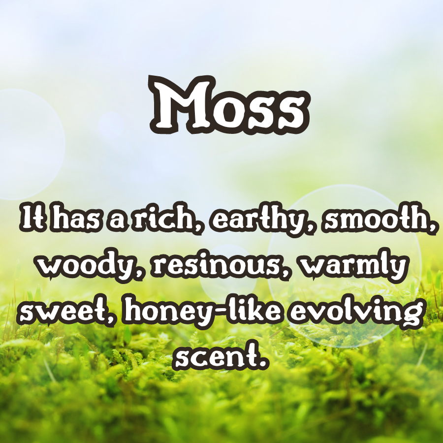Smoke Incense Sticks | Moss, Musk, & Cedarwood | Earthy & Smokey | Highly Fragrant | Low Smoke | Clean Burn