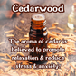 Smoke Incense Sticks | Moss, Musk, & Cedarwood | Earthy & Smokey | Highly Fragrant | Low Smoke | Clean Burn