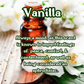 Vanilla Birch Incense Sticks | White Birch, Vanilla, & Sandalwood | Vanilla & Woodsy | Highly Fragrant | Low Smoke | Clean Burn