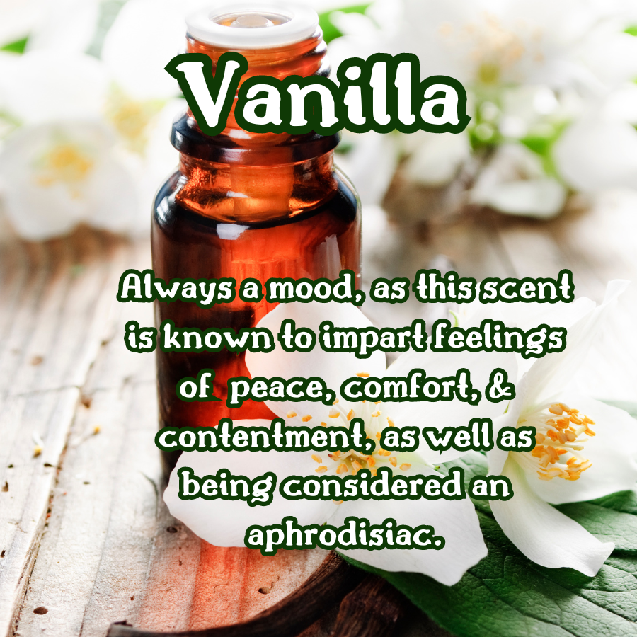 Vanilla Birch Incense Sticks | White Birch, Vanilla, & Sandalwood | Vanilla & Woodsy | Highly Fragrant | Low Smoke | Clean Burn