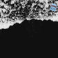 Black Tide | Dark Musk, Sea Salt, & Amber 9 oz Scented Candle |  Earthy & Aquatic