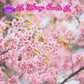 Cherry Blossom |   Freesia, Sandalwood, & Cherry Blosssom  Scented Wax Melt | Soft Floral