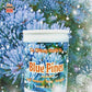 Blue Pines | Spruce, Evergreen, & Spiced Honey | 12 oz Scented Candle | Earthy & Warm | Winter Fragrance