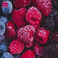 Wild Berry Blizzard Snow Cone| Mixed Berry, Green Apple, & Vanilla Scented Wax Melt | Fruity & Crisp