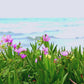 Ocean Kissed | Spicy Floral  & Sea Salt  Scented Wax Melt | Aquatic & Floral