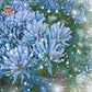 Blue Pines | Spruce, Evergreen, & Spiced Honey Scented Wax Melt | Earthy & Warm | Winter Fragrance