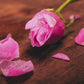Sandalwood Rose 4 oz Room & Linen Spray |  Rose Petals, Sandalwood, & Amber| Woodsy & Floral | Fine Mist