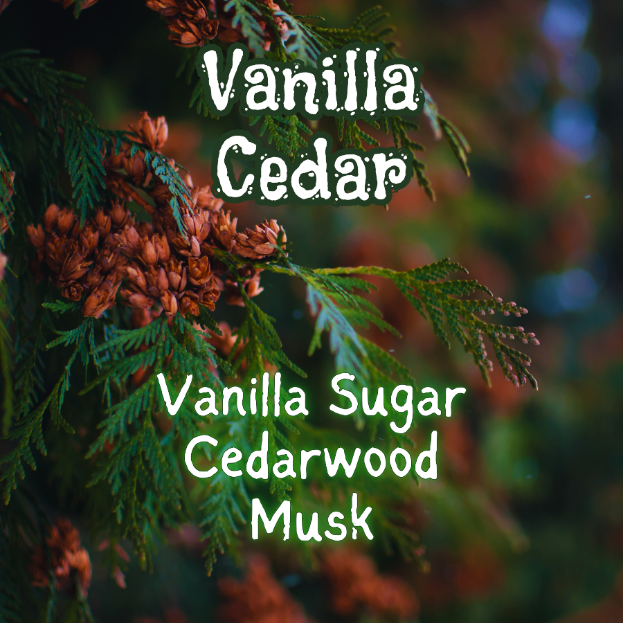 Vanilla Cedar | Vanilla Sugar & Cedarwood  Incense Sticks | Sweet & Woody | Highly Fragrant | Low Smoke| Clean Burn