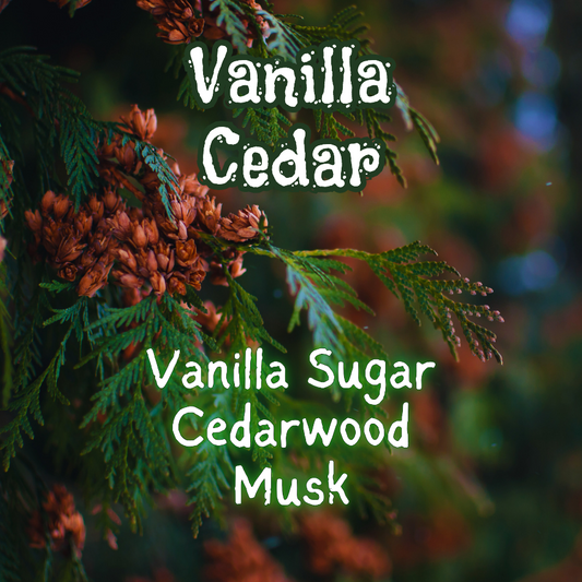 Vanilla Cedar | Vanilla Sugar & Cedarwood  Incense Sticks | Sweet & Woody | Highly Fragrant | Low Smoke| Clean Burn